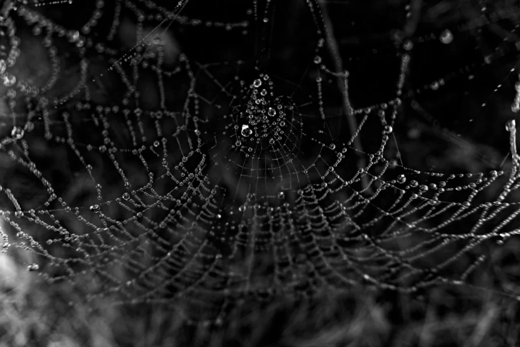 Web Services Coding Computer Screen